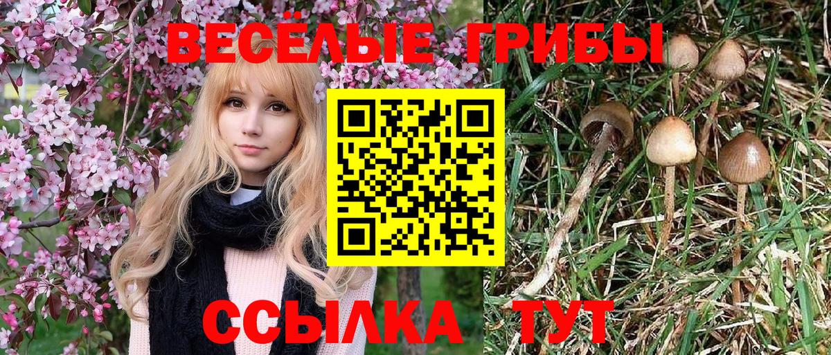 Нягань  где найти наркотики  Вход с VPN  Псилоцибиновые грибы MAGIC MUSHROOMS  Псилоцибиновые грибы Psilocybe 